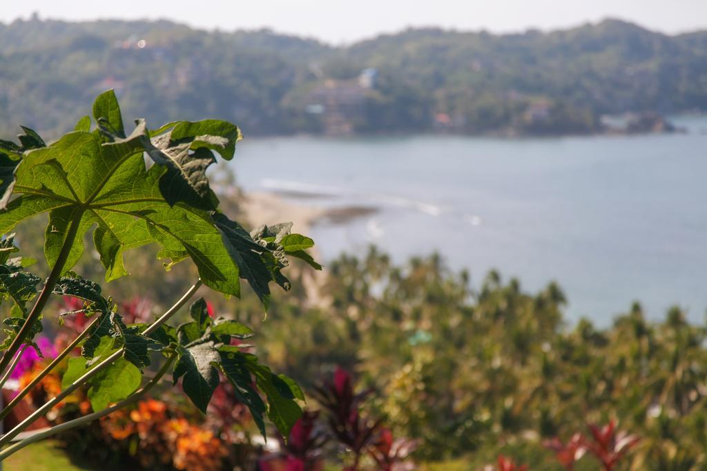 Casa Los Arcos Hotel Sayulita Eksteriør billede